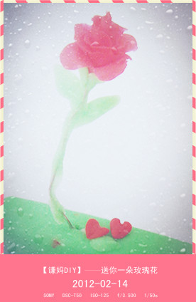 【谦妈DIY】--送你一朵玫瑰花(情人节专贴) - 浪